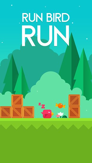 game pic for Run bird run